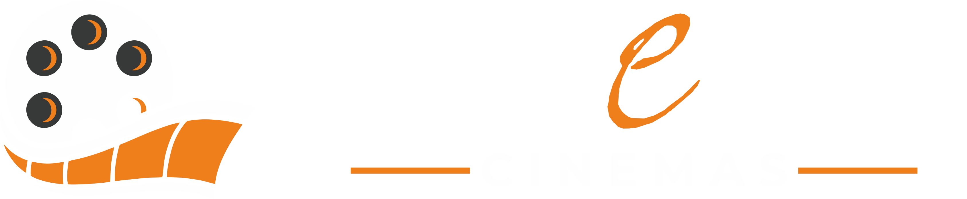 Logo Brand